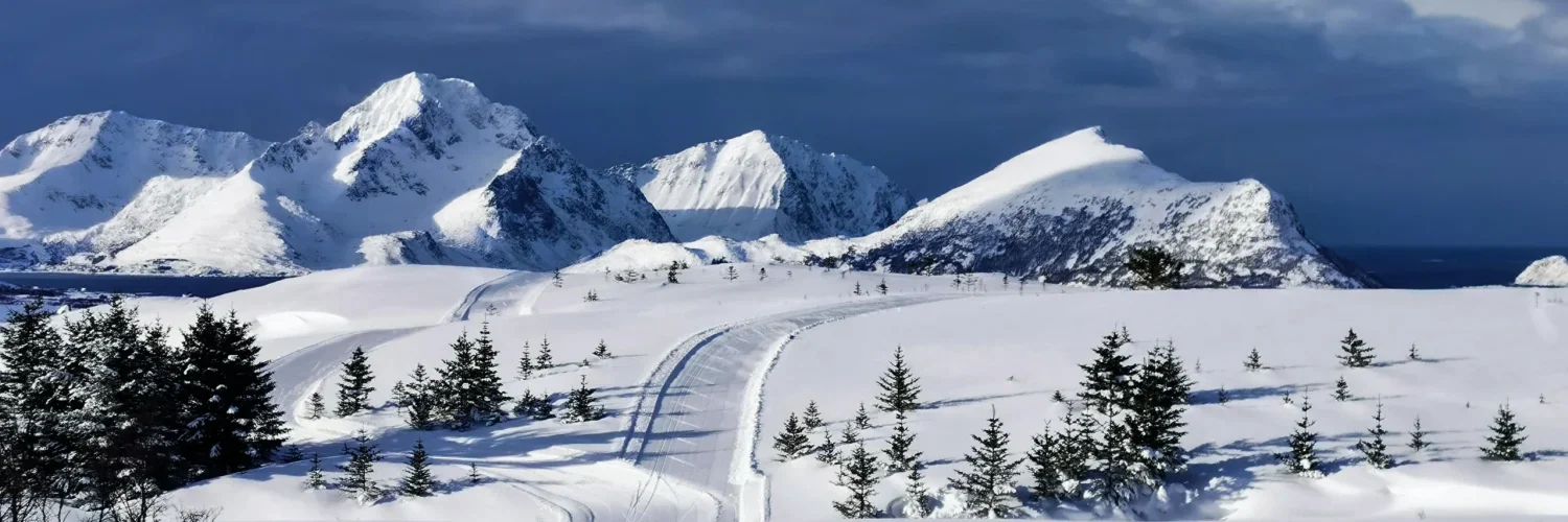 Sightseeing flight for Christmas in a snowy winter wonderland
